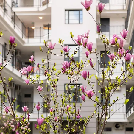 Magnolia Deluxe Apartament