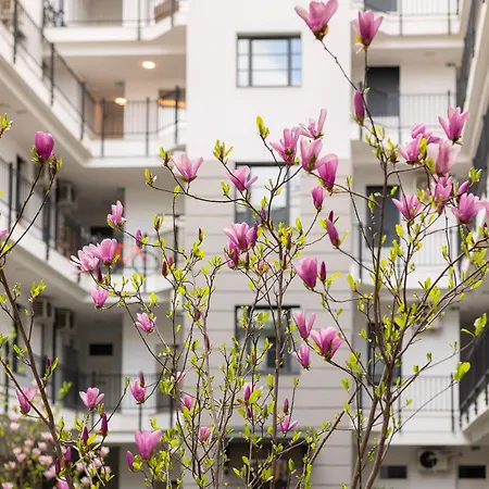 Magnolia Deluxe Apartament